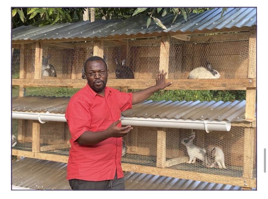 Rabbit hutch built by the team